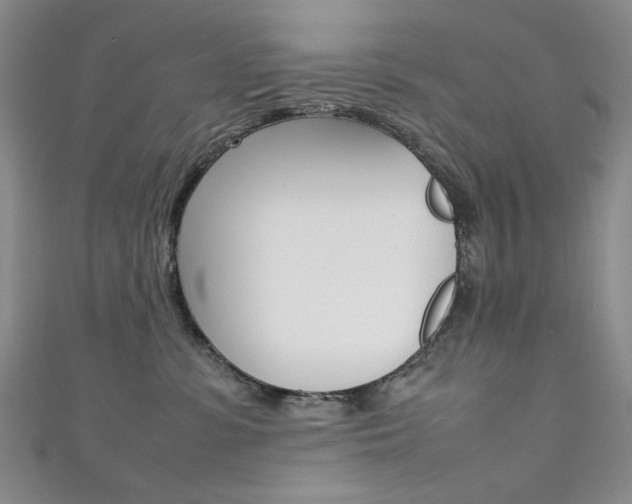 X0000111650331200907171104