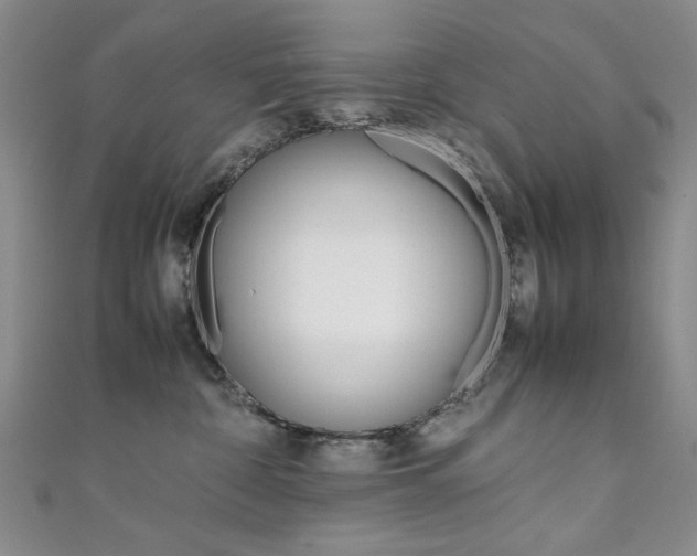 X0000111650332200907171104