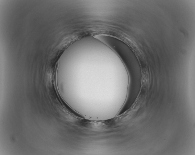 X0000111650333200907171104
