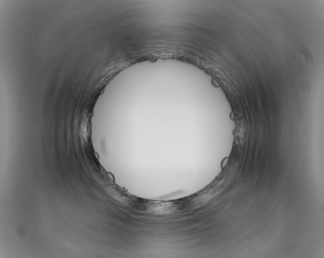 X0000111650334200907171104