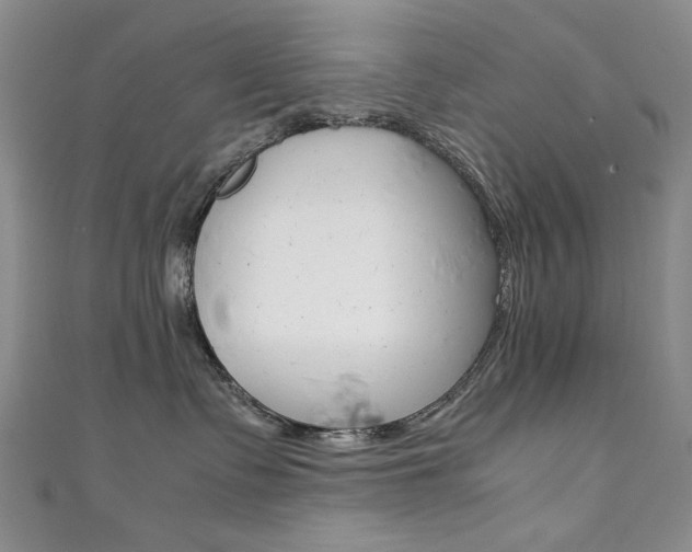 X0000111650335200907171104