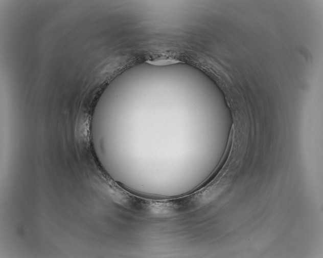 X0000111650336200907171104