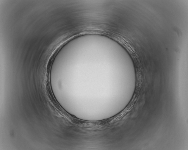 X0000111650338200907171103