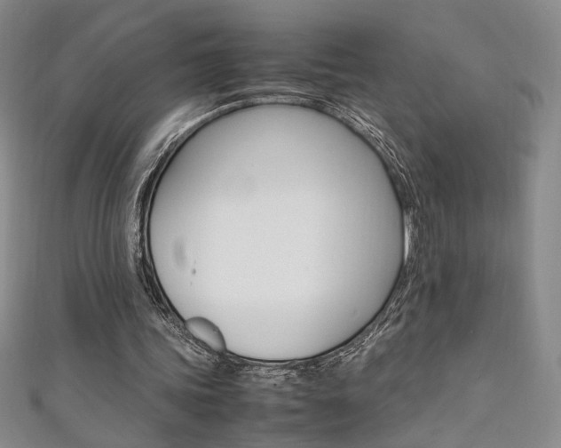 X0000111650339200907171103