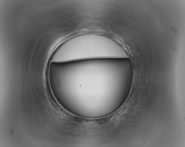 X0000111650340200907171103