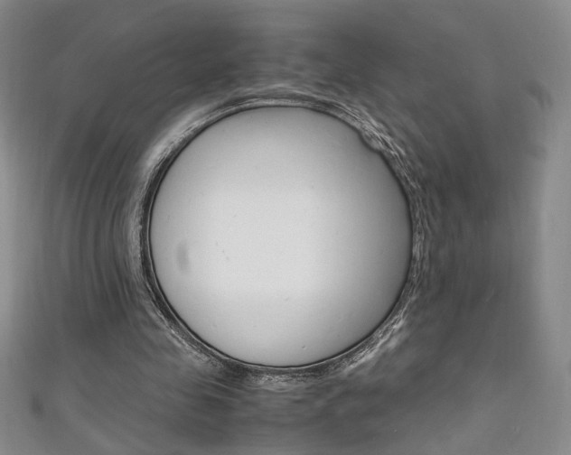 X0000111650341200907171103