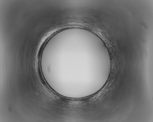 X0000111650342200907171103