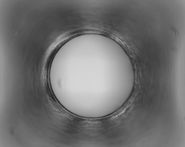 X0000111650343200907171103