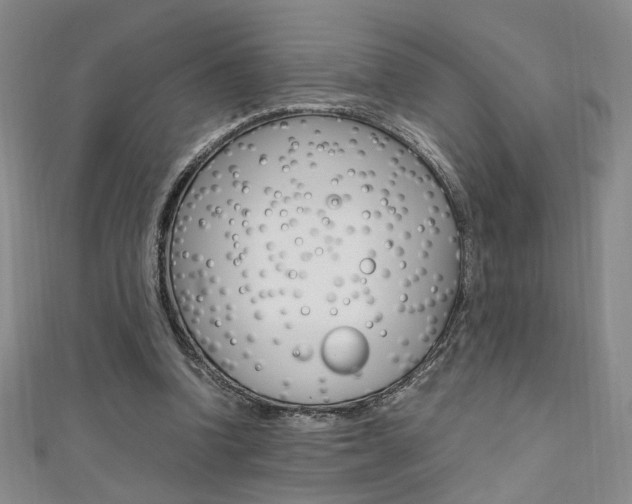X0000111650346200907171104