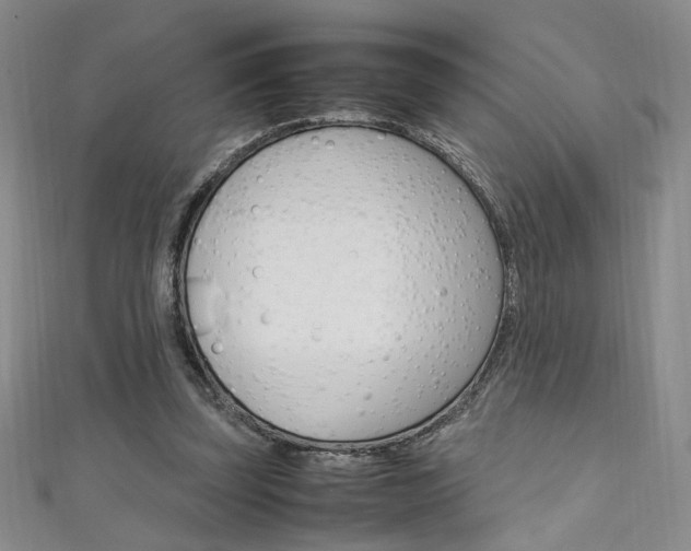 X0000111650347200907171104