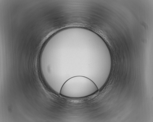 X0000111650348200907171104