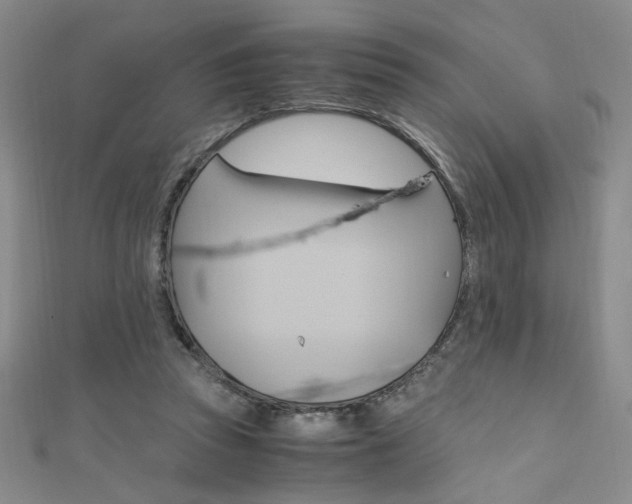 X0000111650353200907171104