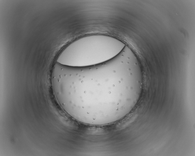 X0000111650354200907171104