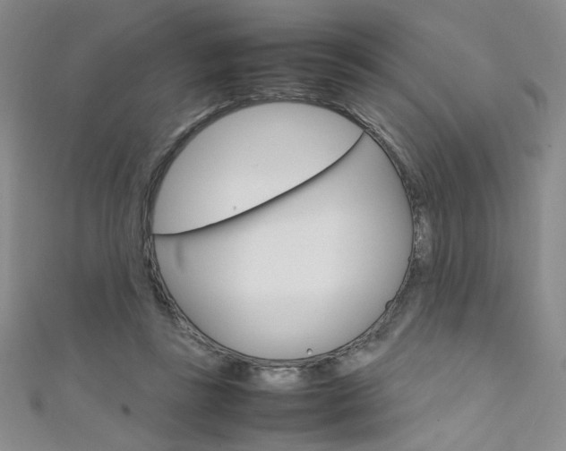 X0000111650355200907171104
