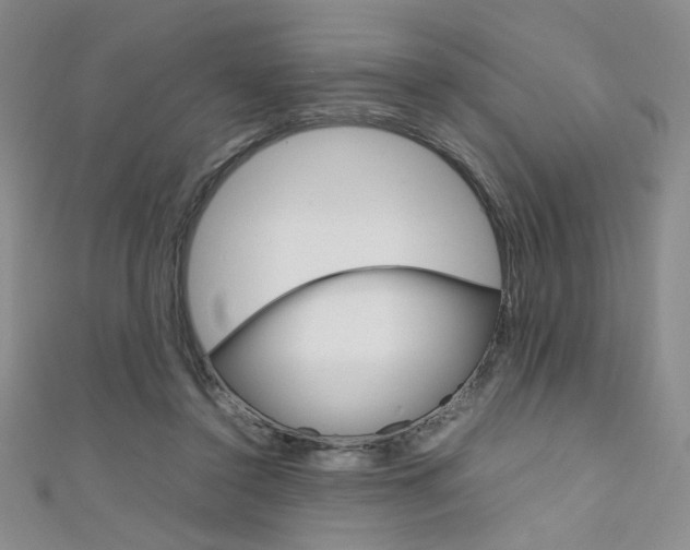 X0000111650356200907171104