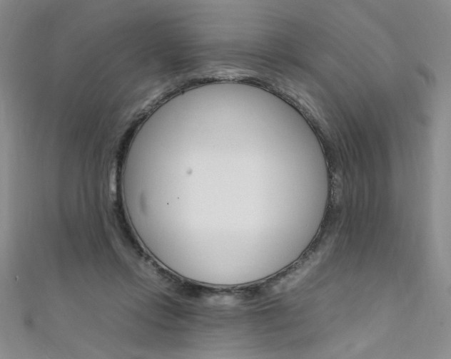 X0000111650358200907171104