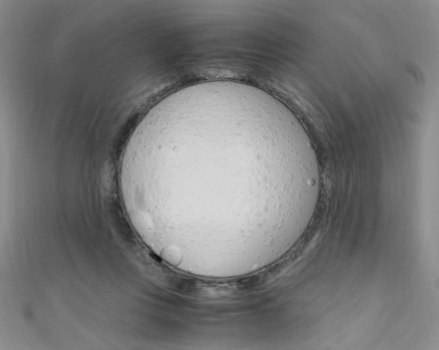 X0000111650359200907171104