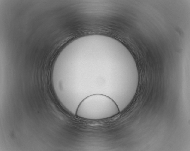 X0000111650360200907171104