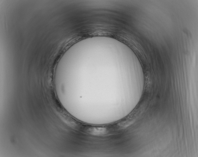 X0000111650361200907171104