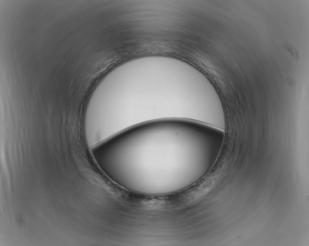 X0000111650362200907171104