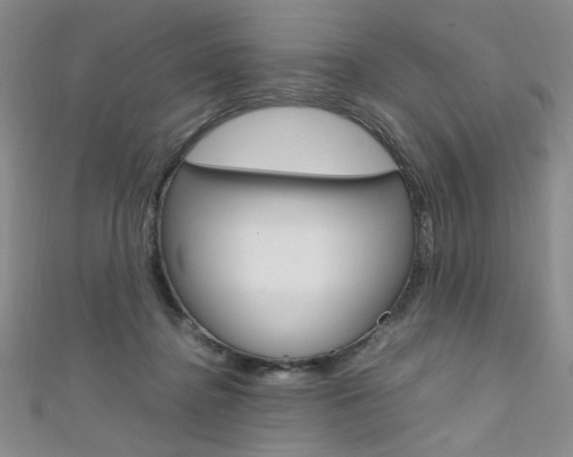X0000111650364200907171104