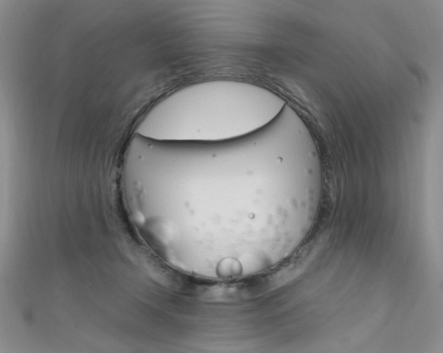 X0000111650366200907171104