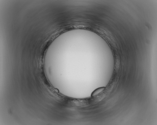 X0000111650367200907171104