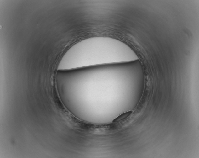 X0000111650368200907171104