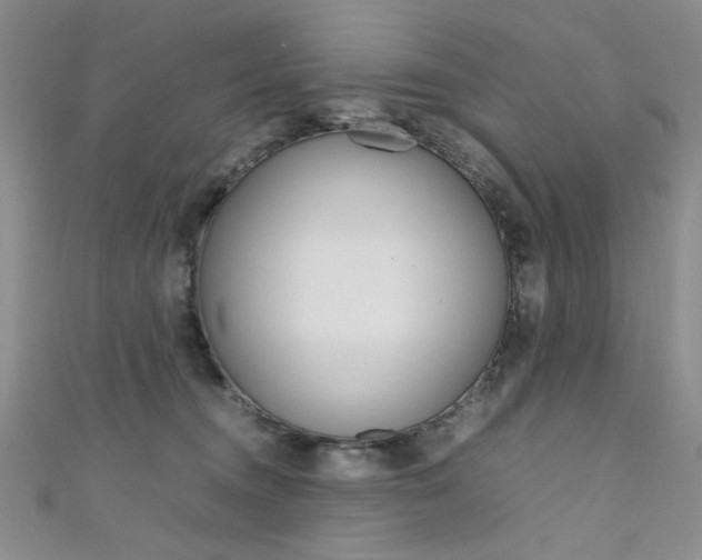X0000111650372200907171104
