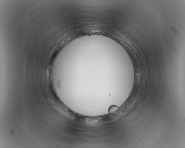 X0000111650373200907171104
