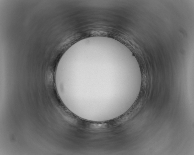 X0000111650375200907171104