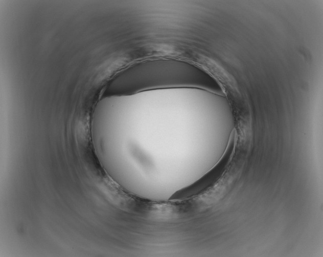 X0000111650376200907171104