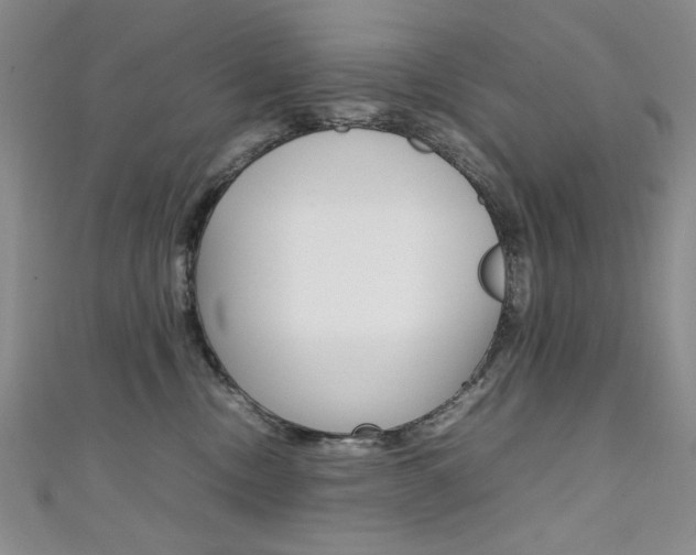 X0000111650378200907171104