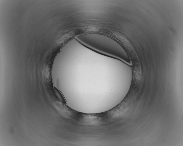 X0000111650380200907171104