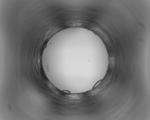 X0000111650381200907171104