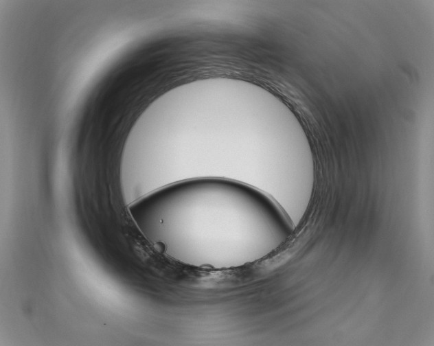 X0000111650382200907171104