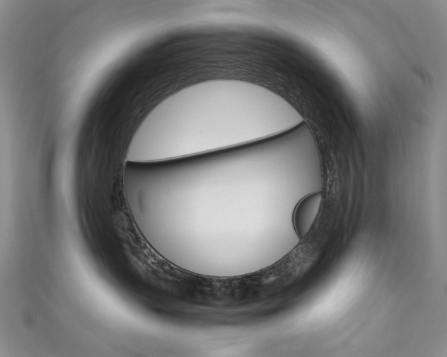 X0000111650383200907171104