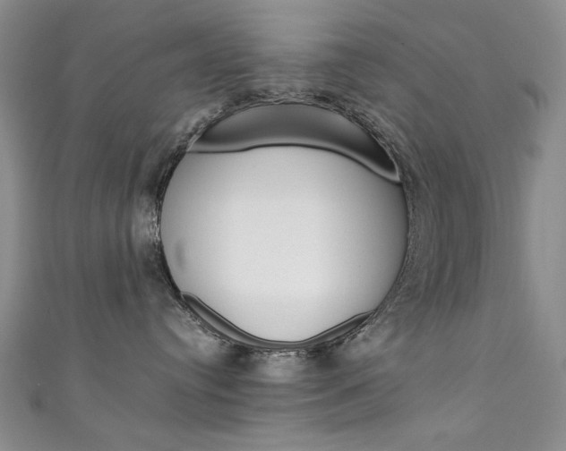 X0000111650384200907171104