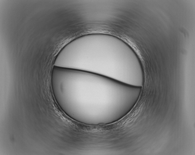 X0000111650385200907171103