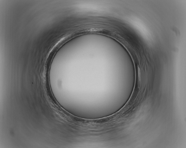 X0000111650387200907171103