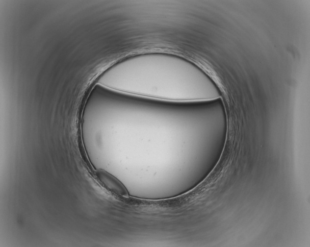X0000111650389200907171103