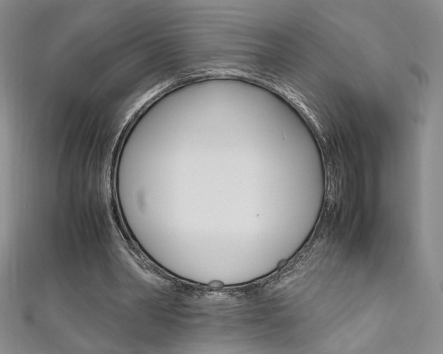 X0000111650390200907171103
