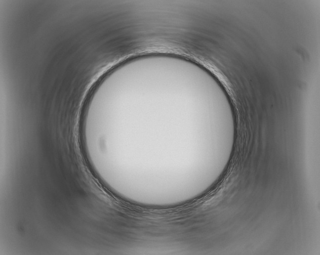X0000111650391200907171103