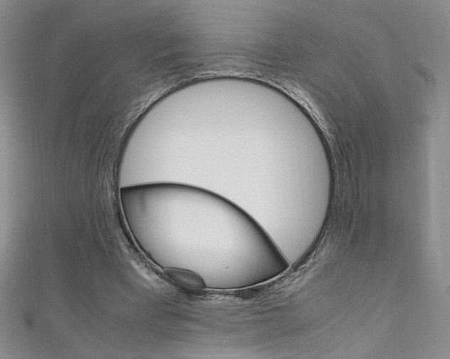 X0000111650393200907171103