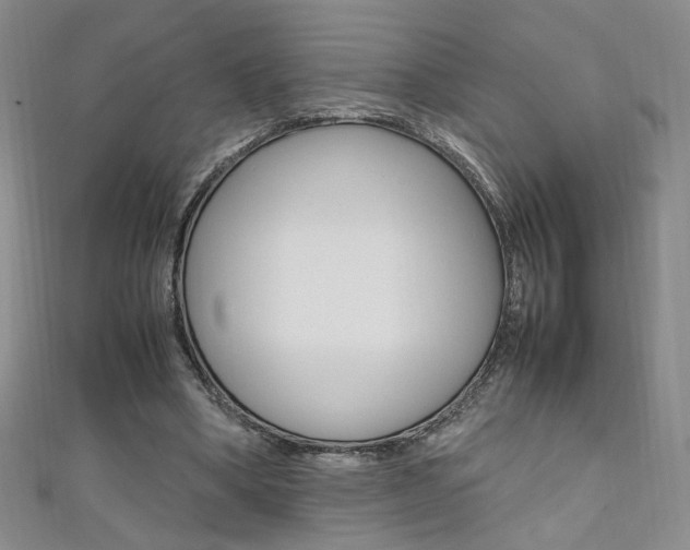 X0000111650394200907171103