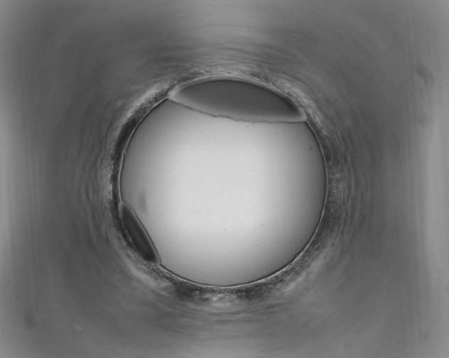 X0000111650395200907171103