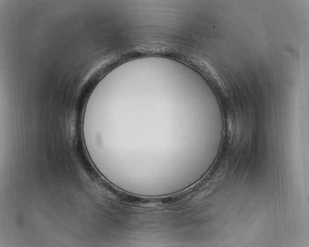 X0000111650396200907171103