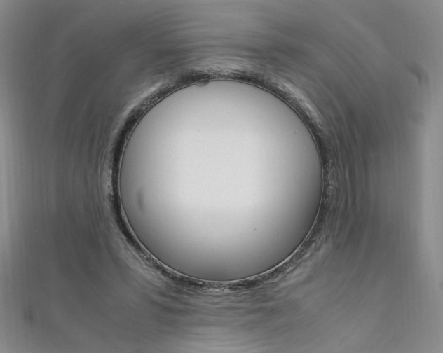 X0000111650399200907171103