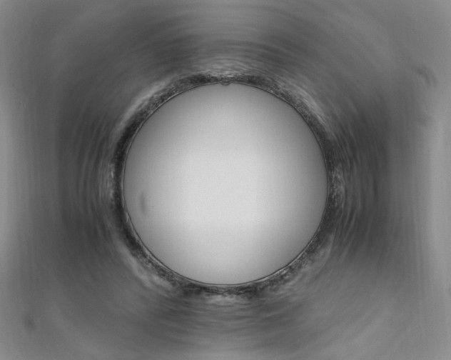 X0000111650400200907171103