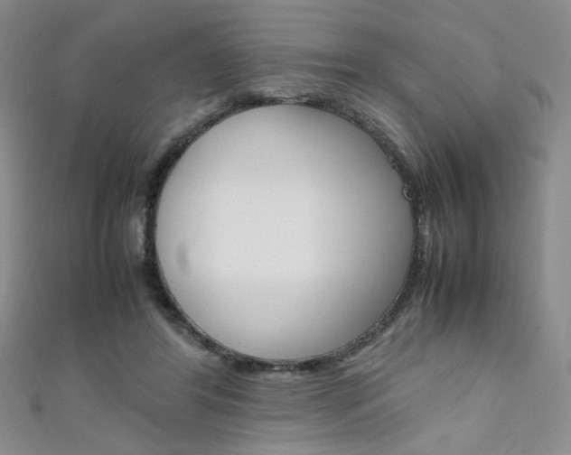 X0000111650404200907171103
